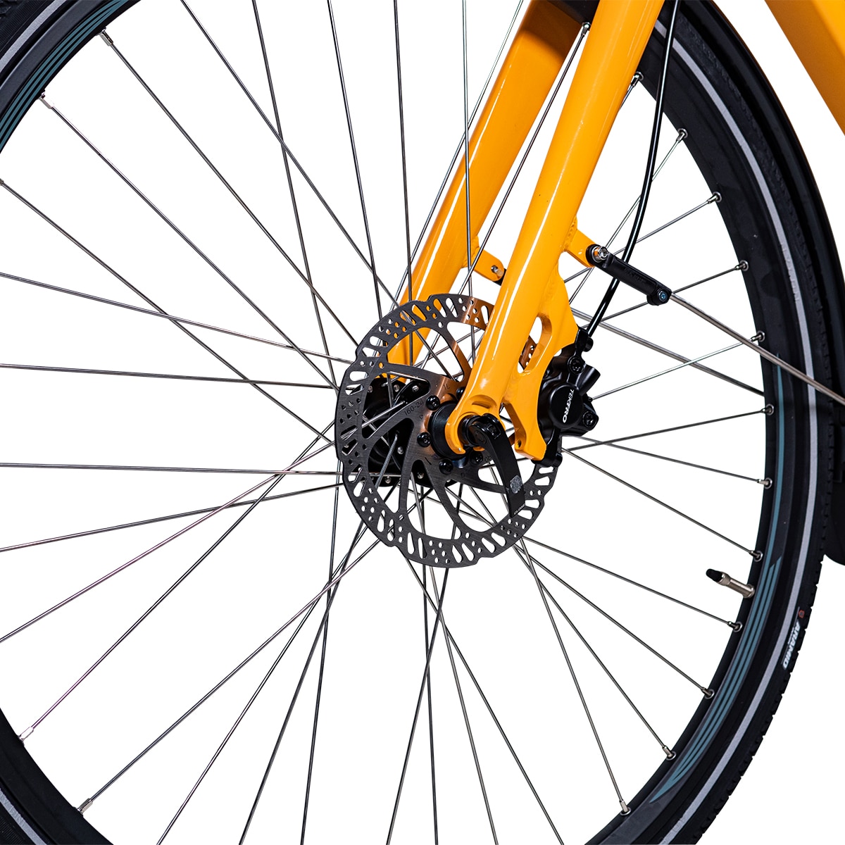 EvoBike Sport-8, Miesten