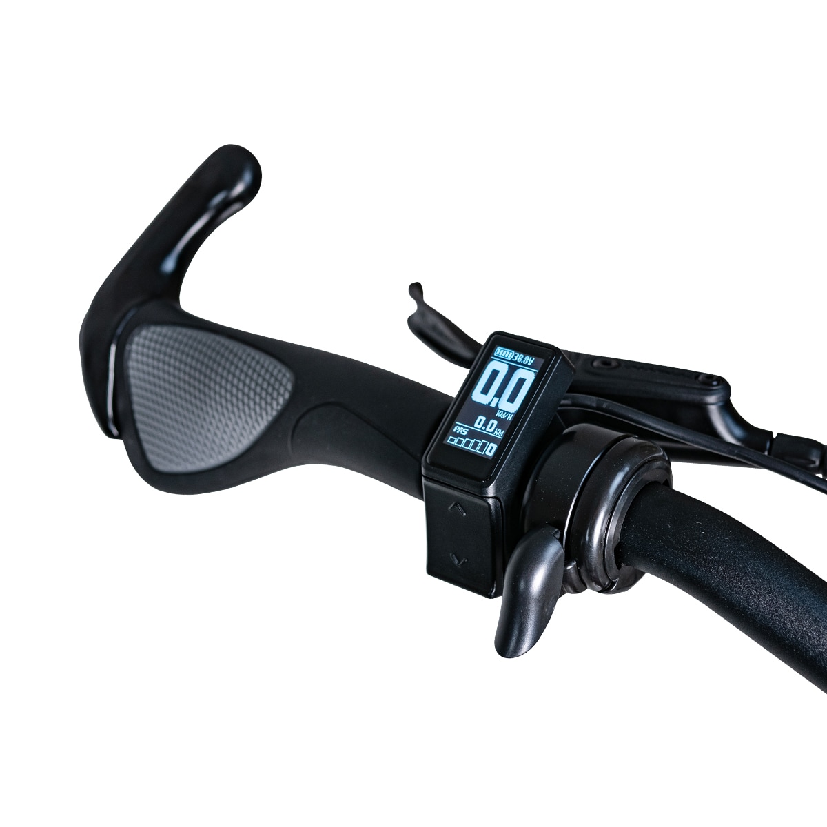 EvoBike Sport-8, Naisten